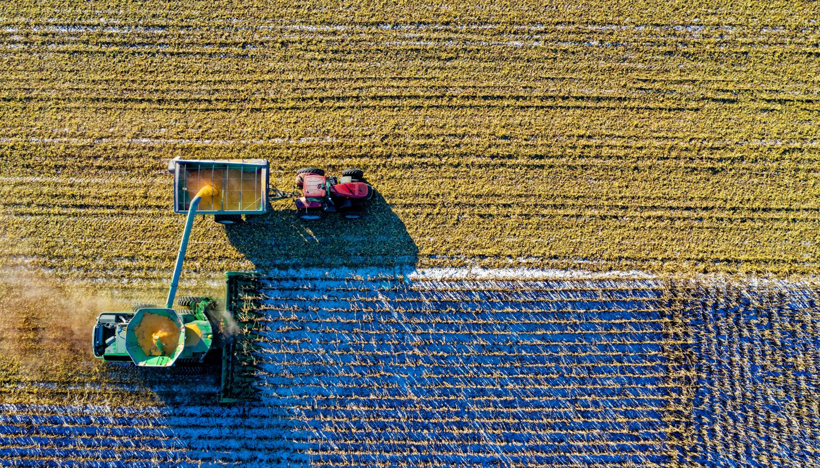 Imprese e lavoro: arriva il credito d’imposta anche per gli agricoltori